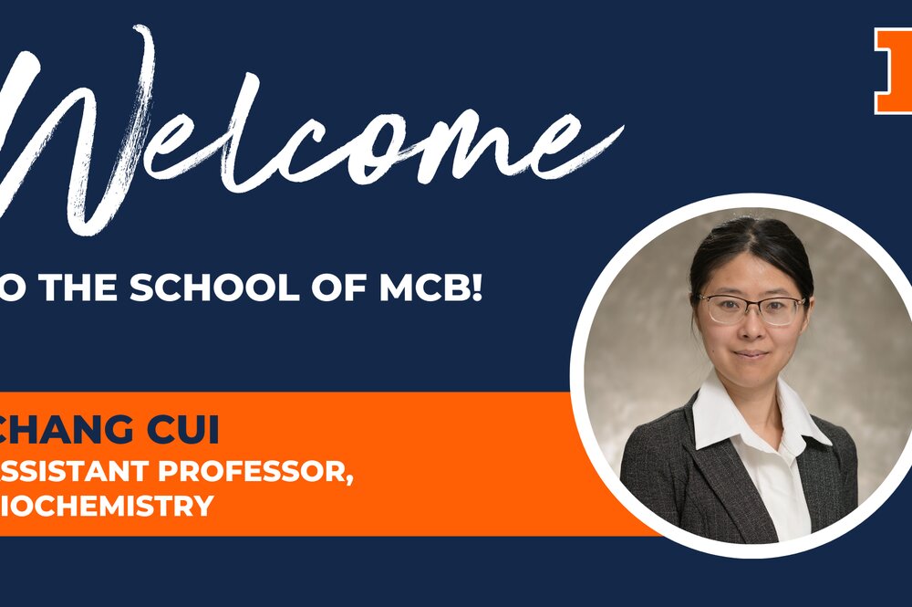 Graphic showing headshot of Chang Cui and the text, Welcome to the School of MCB Chang Cui, assistant professor of biochemistry 